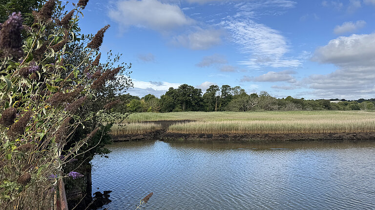 lymington river